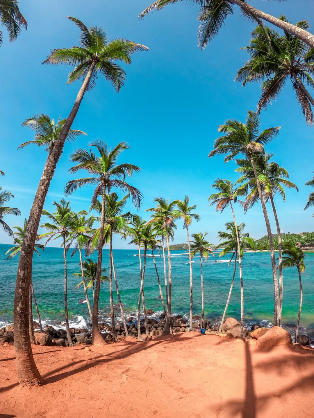 dinuka-lankaloka-MaYOrZIeuU8-unsplash-scaled